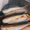 丸々太ったいわしの煮付け、できました🐟