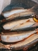 旬の煮魚料理をお楽しみください。「丸々太ったいわしの煮付け、できました🐟」