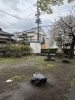 雨と桜「🌸 【切なる願い】桜よ、もう少しだけ踏ん張って。」