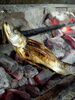 真鰯の塩焼き「鰯の塩焼き」