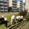 ご入園・ご進級おめでとうございます🌸【交野市・小規模保育園】