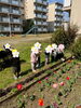 みんなで植えたチューリップ🌷満開です✨「ご入園・ご進級おめでとうございます🌸【交野市・小規模保育園】」