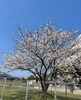 「強烈だった　断捨離のお茶会🥹」
