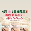 春の新メニューキャンペーン✨