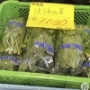 ＼季節の野菜🥬や、フルーツ🍐🍊🍓🍈🍉も売ってる酒市です／