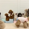 ましゅまろ幼稚園🐾