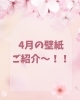 春の訪れ桜満開の癒やし空間「4月の壁紙は桜づくし🌸お花見気分の館内装飾をご紹介します」