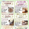【参加者募集】理想のコーヒー抽出講座を開催します☕✨