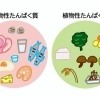 植物性タンパク質🌱 【パーソナルジムYOKO's GYM 高津溝の口店】