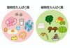「植物性タンパク質🌱 【パーソナルジムYOKO's GYM 市川店】」