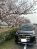 「満開の桜と一緒に📸ピカピカ愛車でお花見ドライブしませんか？」