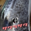 サワラ入荷致しました！