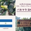 4月限定世界の珈琲