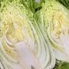 直売所『春白菜』入荷しました！道の駅木曽福島