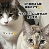 🌸4月新規３名募集中🌸村上市でエステサロン・リンパケア・疲れ・小顔・ご褒美・痩せやすく・女子力・フェイシャル・痩身・カサカ肌の改善・肌のトラブル防止・肩コリ首コリ緩和・予防・贅沢・骨盤底筋・尿もれ