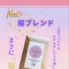 4月5日、新商品「桜ブレンド」を販売いたしました。