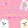 第5回わんわんフォトコンテストのご案内♪