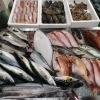 📣本日のお魚情報🐟