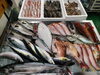 令和8年 4月6日 店内「📣本日のお魚情報🐟」