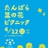 【4/12】丹原町・関屋で「たんばら菜の花ピクニック」が開催！