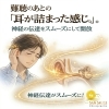 難聴後の耳の詰まり感から解放‼「難聴のあとに残る「耳のつまった感じ」。神経の通り道からそっと整えるケア」