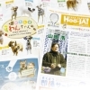 フリーペーパーHoo-JA！vol.519(4月11日号) 配布中です