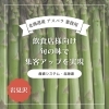「【北海道産 アスパラ 業務用】飲食店様向け｜旬の味で集客アップを実現」