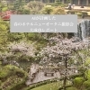 AIと計画した「春のホテルニューオータニ撮影会」大成功レポート！