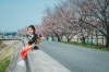 満開の桜と共に残す特別imageData.「問屋町レンタル着物TUZUMI　春の七五三ロケ撮影と秋シーズンご予約のご案内」