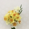 お花を頂きました(o^^o)