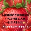 ご家族様より大きないちごの差し入れをいただきました🍓
