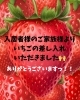 自然豊かな静かな環境で団らん alkoxy「ご家族様より大きないちごの差し入れをいただきました🍓」