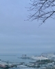 今朝の小樽「4月7日(火) もりのきより（小樽 ゲストハウス)」
