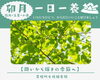 穀雨・立夏・小満を心地よく過ごす大人の養生「【一日一養】潤いから輝きの季節へ。穀雨・立夏・小満を心地よく過ごす大人の養生」