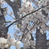 【田辺市・上富田町・白浜町】本日のご依頼【高齢者・生活支援】