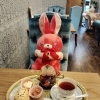 期間限定・桜あん仕立てのふっくらうさぎスコーンセット