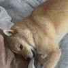 男の子って