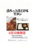 じっくり煮込んだ牛タンシチュー「江戸川区 中葛西・焼肉しんの新メニュー！ほろっとほどける牛タンシチュー」