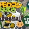 トウモロコシ大収穫祭! １０種類の品種を栽培して、美味しさを追求してみました。　たねのハシモトミヤ
