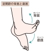 「【身体の不調・違和感のアドバイス】⑨足首が硬いとどうなる？」