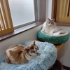 似てきました😸😸