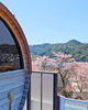 絶景を望む極上サウナ体験「桜の見納めに、絶景を眺める春のサウナ時間🌸」