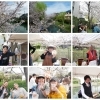 とてもいい天気だった「桜まつり」！　今年も、飲ませていただきました♪