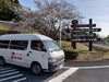 「八女市黒木町グリーンピア八女桜見学に〜‼️YouTube見てね(^O^)‼️。」