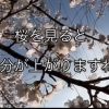 素足に、自信ありますか？