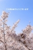 「J's craft cafe です」