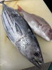 厳選素材そのままに「今年初の、カツオ入荷」