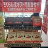 山形県産さくらんぼ＆茨城県産メロン ギフト宅配ご予約承り中！