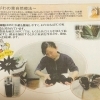びわの葉自然療法のご案内🍃