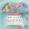 はじめてのマシンピラティス体験！女性専用スタジオで気軽にスタート